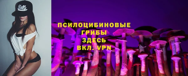 2c-b Алзамай