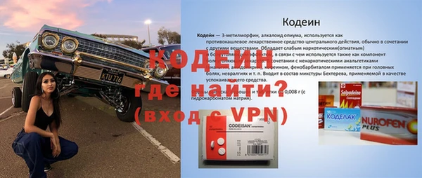 прущие грибы Алексеевка