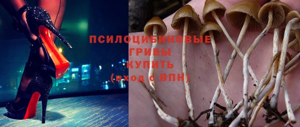 2c-b Алзамай
